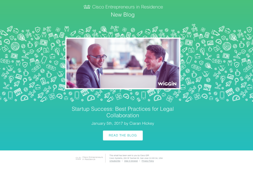 Email Newsletter